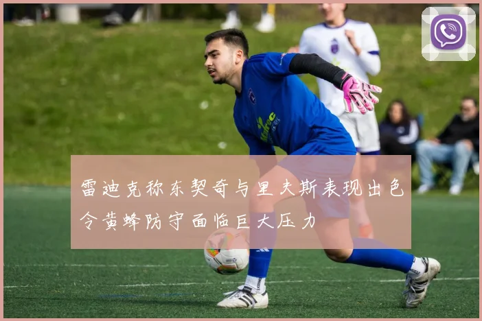 雷迪克称东契奇与里夫斯表现出色令黄蜂防守面临巨大压力