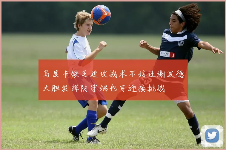 乌度卡缺乏进攻战术不妨让谢泼德大胆发挥防守端也可迎接挑战